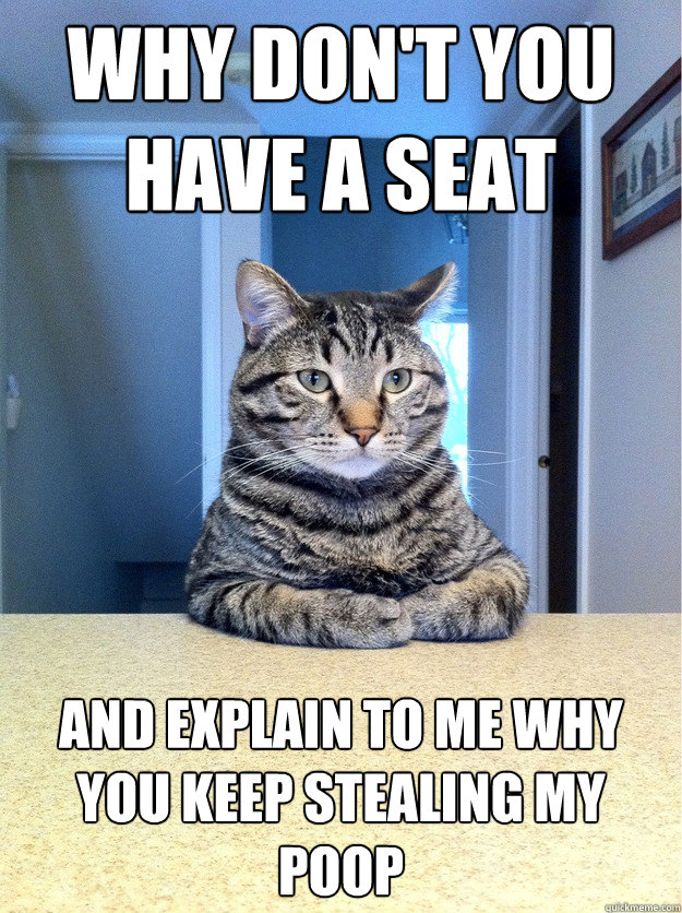 Why don't you have a seat and explain to me why you keep stealing my poop  Chris Hansen Cat