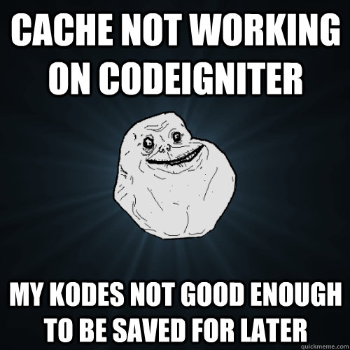 Cache not working on codeigniter my kodes not good enough to be saved for later  Forever Alone