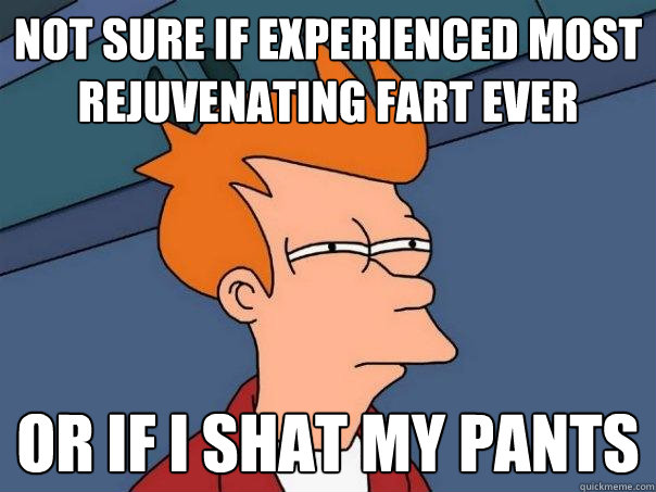 not sure if experienced most rejuvenating fart ever or if i shat my pants - not sure if experienced most rejuvenating fart ever or if i shat my pants  Futurama Fry