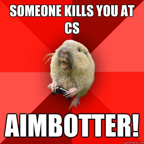 Someone kills you at CS AIMBOTTER!  Gaming Gopher