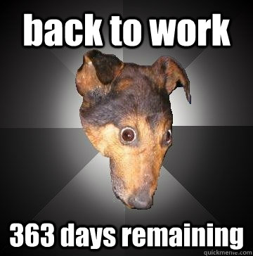 back to work 363 days remaining  Depression Dog