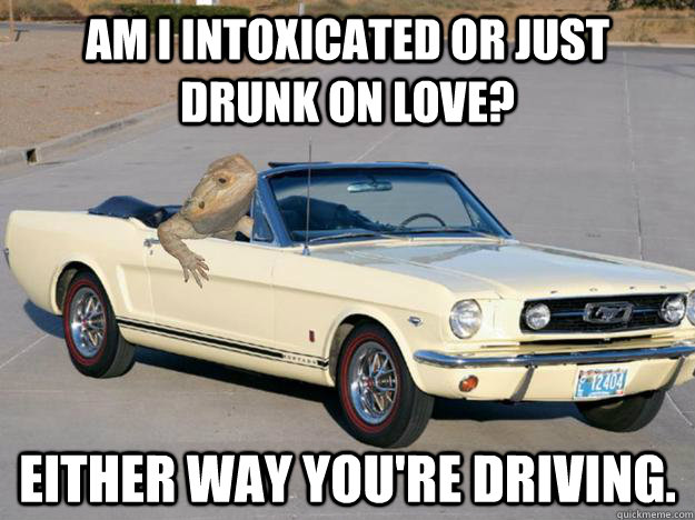 Am I intoxicated or just drunk on love? Either way you're driving.  Pickup Dragon