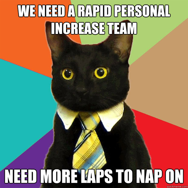 We need a rapid personal increase team Need more laps to nap on  Business Cat