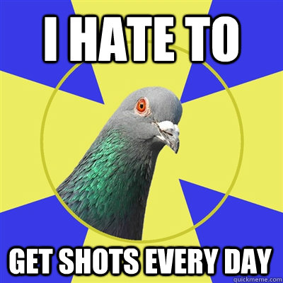 i hate to get shots every day  Religion Pigeon