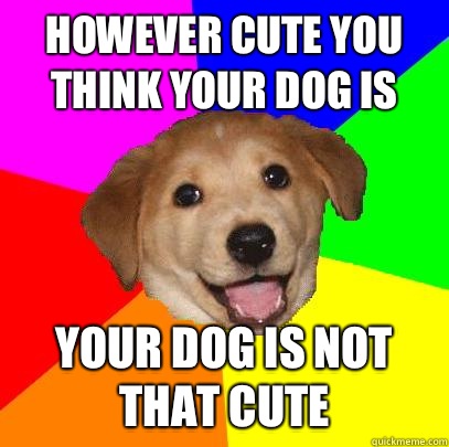 HOWEVER CUTE YOU THINK YOUR DOG IS YOUR DOG IS NOT THAT CUTE  Advice Dog