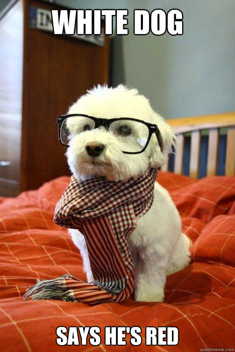 White dog says he's red - White dog says he's red  Hipster Dog