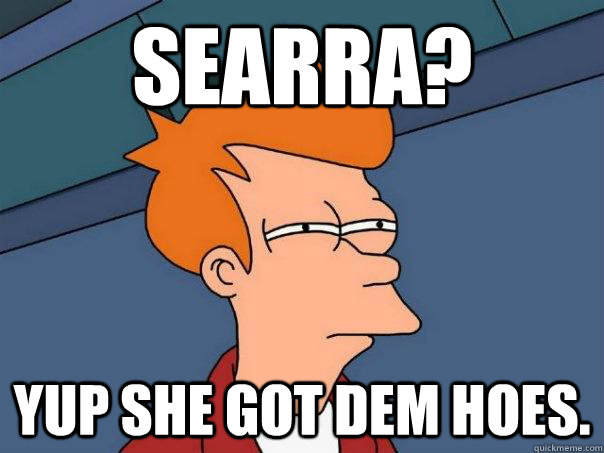 Searra? Yup she got dem hoes.  Futurama Fry