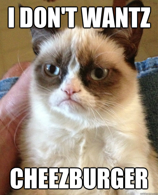 I don't wantz Cheezburger  Grumpy Cat