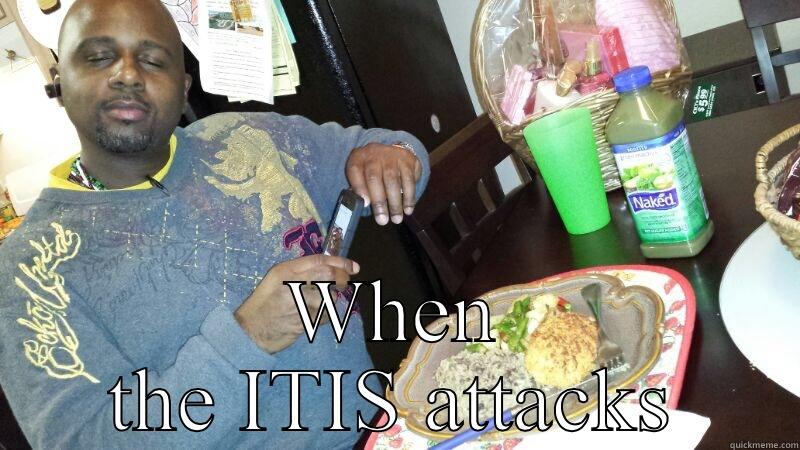 Itis  -  WHEN THE ITIS ATTACKS Misc