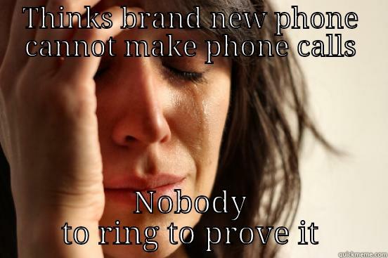 THINKS BRAND NEW PHONE CANNOT MAKE PHONE CALLS NOBODY TO RING TO PROVE IT First World Problems