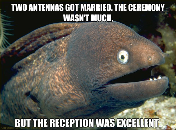 Two antennas got married. The ceremony wasn't much,  but the reception was excellent.  Bad Joke Eel