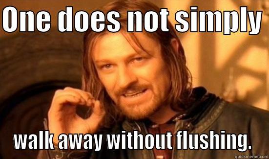 ONE DOES NOT SIMPLY  WALK AWAY WITHOUT FLUSHING. Boromir