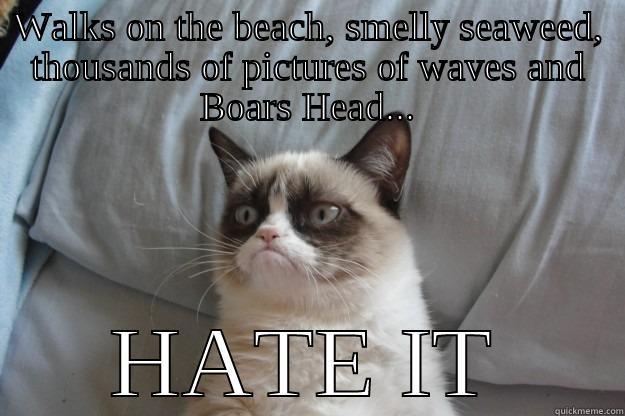 Hampton Beach Blues - WALKS ON THE BEACH, SMELLY SEAWEED, THOUSANDS OF PICTURES OF WAVES AND BOARS HEAD... HATE IT Grumpy Cat