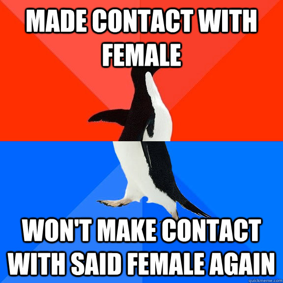 made contact with female won't make contact with said female again - made contact with female won't make contact with said female again  Socially Awesome Awkward Penguin