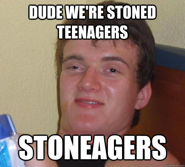 DUDE WE'RE STONED TEENAGERS STONEAGERS - DUDE WE'RE STONED TEENAGERS STONEAGERS  10 Guy