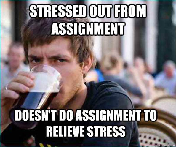 Stressed out from assignment Doesn't do assignment to relieve stress  Lazy College Senior