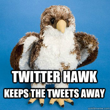 TWITTER HAWK KEEPS THE TWEETS AWAY  Twitter Hawk