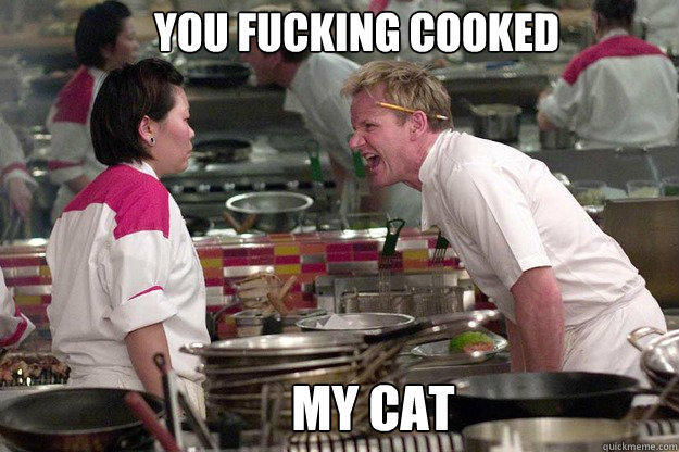 MY CAT  YOU FUCKING COOKED  