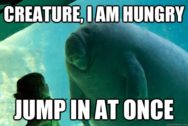 creature, i am hungry jump in at once - creature, i am hungry jump in at once  Overlord Manatee