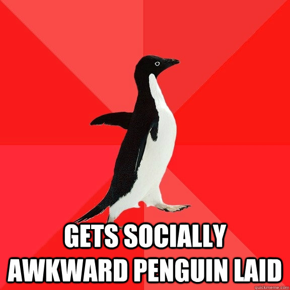  Gets socially awkward penguin laid  Socially Awesome Penguin