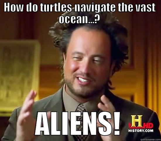 turtle POWER - HOW DO TURTLES NAVIGATE THE VAST OCEAN...? ALIENS! Ancient Aliens