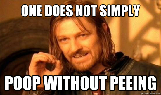 One Does Not Simply Poop without peeing - One Does Not Simply Poop without peeing  Boromir