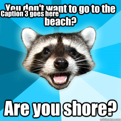 You don't want to go to the beach? Are you shore? Caption 3 goes here - You don't want to go to the beach? Are you shore? Caption 3 goes here  Lame Pun Coon