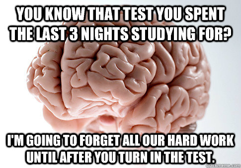 You know that test you spent the last 3 nights studying for? I'm going to forget all our hard work until after you turn in the test.  Scumbag Brain