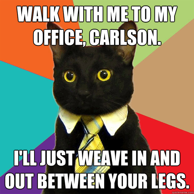 Walk with me to my office, Carlson. I'll just weave in and out between your legs.  Business Cat