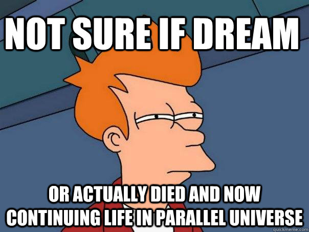 Not sure if dream Or actually died and now continuing life in parallel universe   - Not sure if dream Or actually died and now continuing life in parallel universe    Futurama Fry