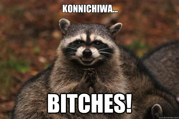 Konnichiwa... Bitches! - Konnichiwa... Bitches!  Evil Plotting Raccoon