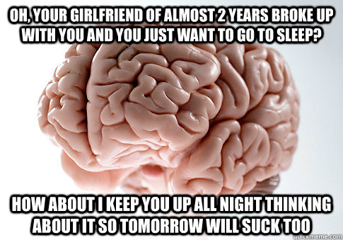 Oh, your girlfriend of almost 2 years broke up with you and you just want to go to sleep? How about I keep you up all night thinking about it so tomorrow will suck too  Scumbag Brain