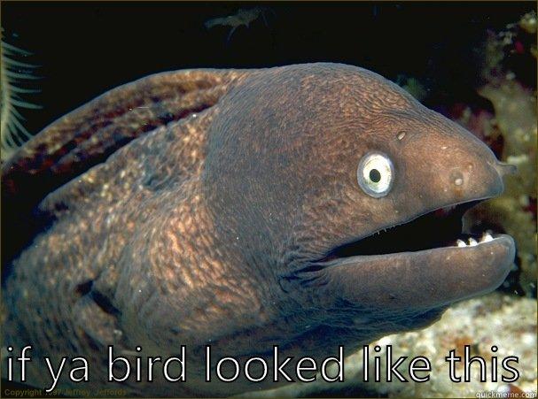   IF YA BIRD LOOKED LIKE THIS Bad Joke Eel