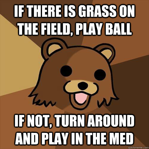 If there is grass on the field, play ball If not, turn around and play in the med  Pedobear