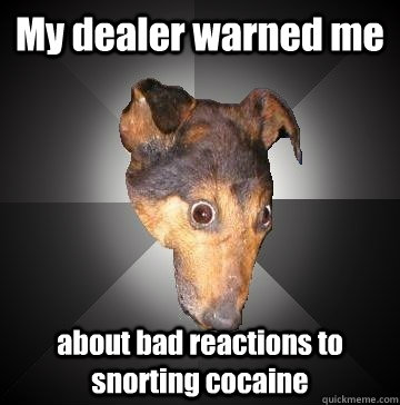 My dealer warned me about bad reactions to snorting cocaine  Depression Dog