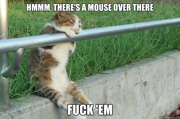 Hmmm, There's a mouse over there Fuck 'em  