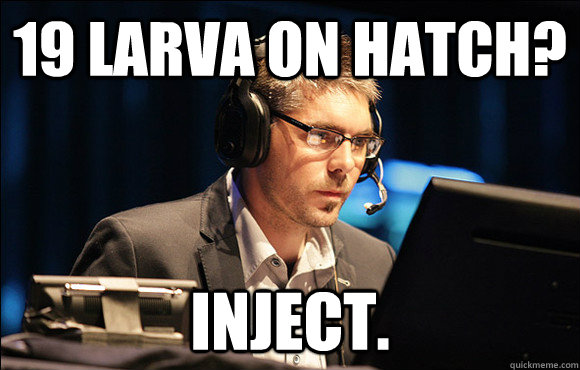 19 larva on hatch? inject.  