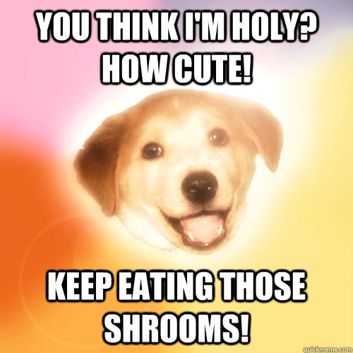 You think I'm holy? How cute! Keep eating those shrooms!  Advice Dog