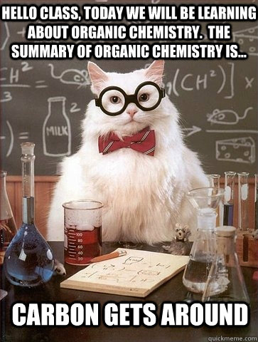 Hello class, today we will be learning about Organic Chemistry.  The summary of organic chemistry is...  Carbon gets around   Chemistry Cat