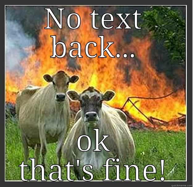 That's fine! - NO TEXT BACK... OK THAT'S FINE! Evil cows