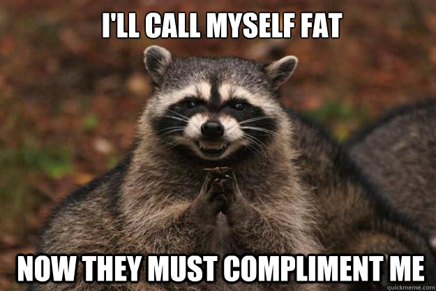  I'LL CALL MYSELF FAT  NOW THEY MUST COMPLIMENT ME  Evil Plotting Raccoon