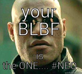 #RSBM #MATRIX - YOUR BLBF IS THE ONE.... #NEO Matrix Morpheus