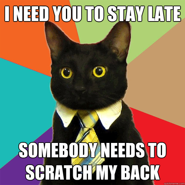 i need you to stay late somebody needs to scratch my back  Business Cat