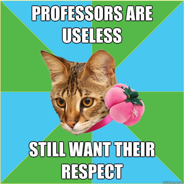 professors are useless still want their respect  