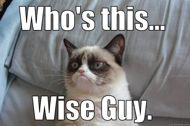 WHO'S THIS... WISE GUY. Grumpy Cat