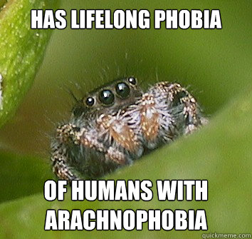 has lifelong phobia  of humans with arachnophobia  Misunderstood Spider