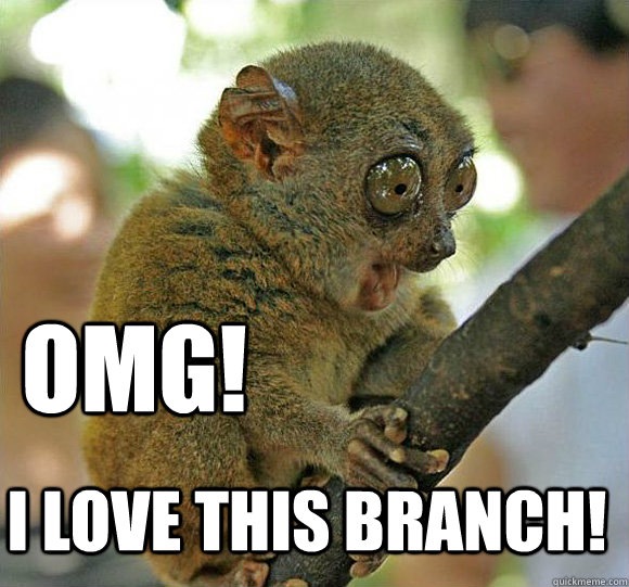 OMG! I love this branch! - OMG! I love this branch!  omg-this-branch-is-awesome