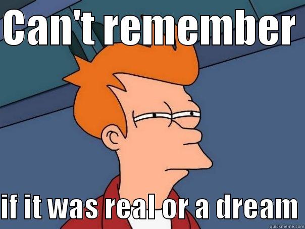 Can't remember if it was real or a dream - CAN'T REMEMBER   IF IT WAS REAL OR A DREAM Futurama Fry