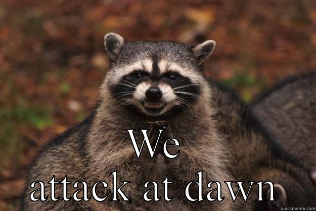  WE ATTACK AT DAWN Evil Plotting Raccoon