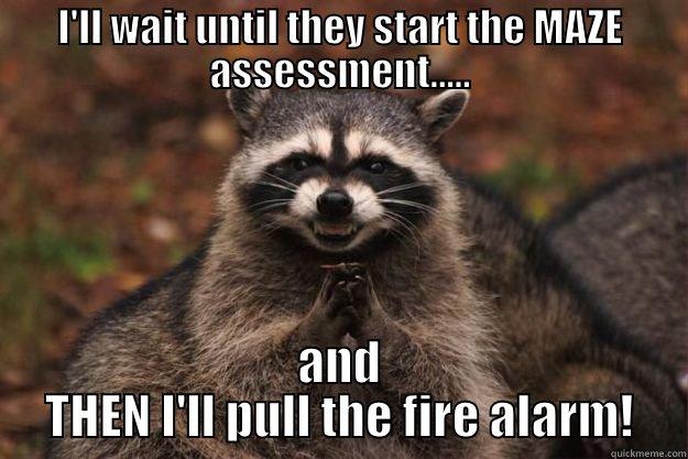 I'LL WAIT UNTIL THEY START THE MAZE ASSESSMENT..... AND THEN I'LL PULL THE FIRE ALARM! Evil Plotting Raccoon